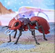 CBB838-F3-686-B-4037-AD14-6-FF316-DDC24-B