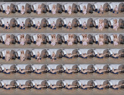 [Image: 24102024203533screenshot.jpg]