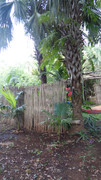 DSC01131