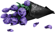 MVDLavender-Love-021