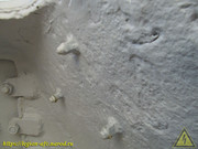 IMG-3447