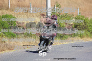 IMG-2538