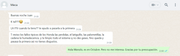 falloso-tipicos.png