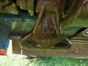 IMG_20211104_103618_copy_1843x1382