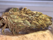 IMG_20200220_132726_623