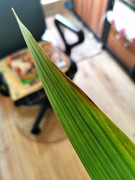 IMG_20220714_135423_edit_10009845179722