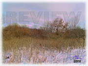 2143721000046342459DJNMzc_fs