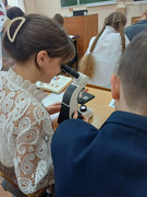 IMG_20240121_174057_848