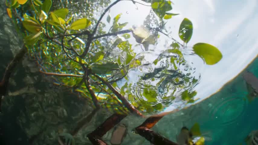 [Image: jup9hfcg7o47.jpg]