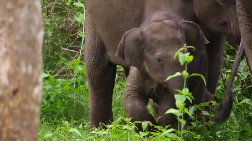 [Image: im42dc1tzll3.jpg]