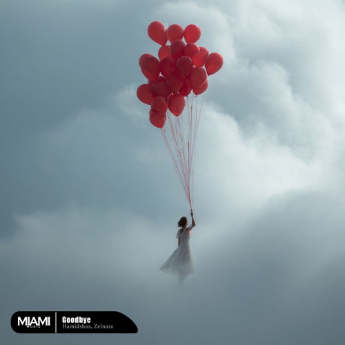 00-zelnara-goodbye-3666miami-single-web-