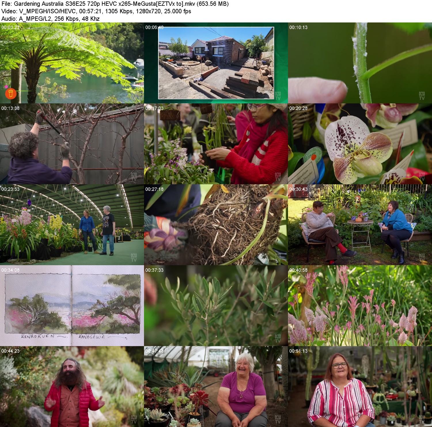 [Image: s756ykurbqj3.jpg]