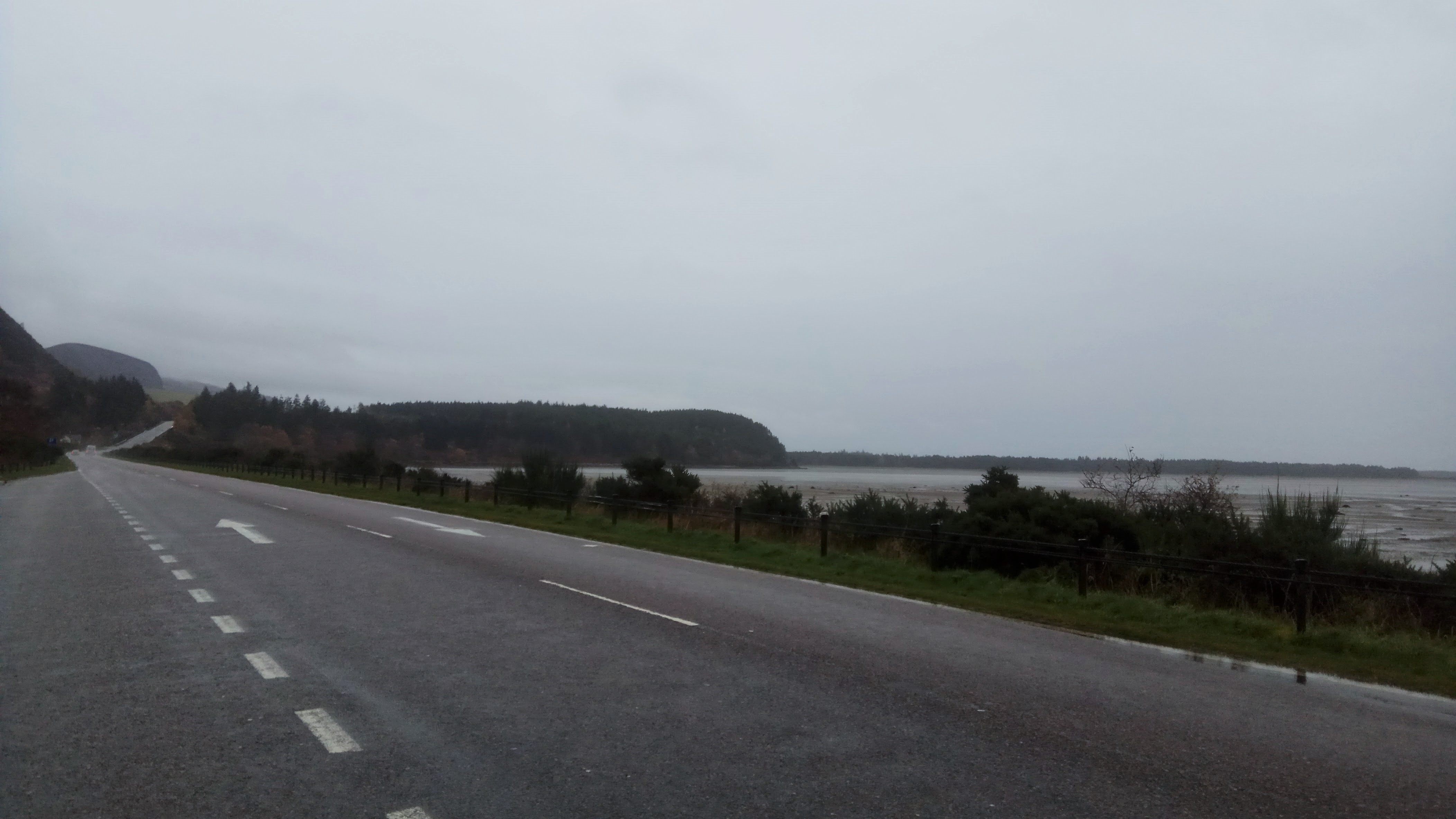 IMG-20171113-150346.jpg