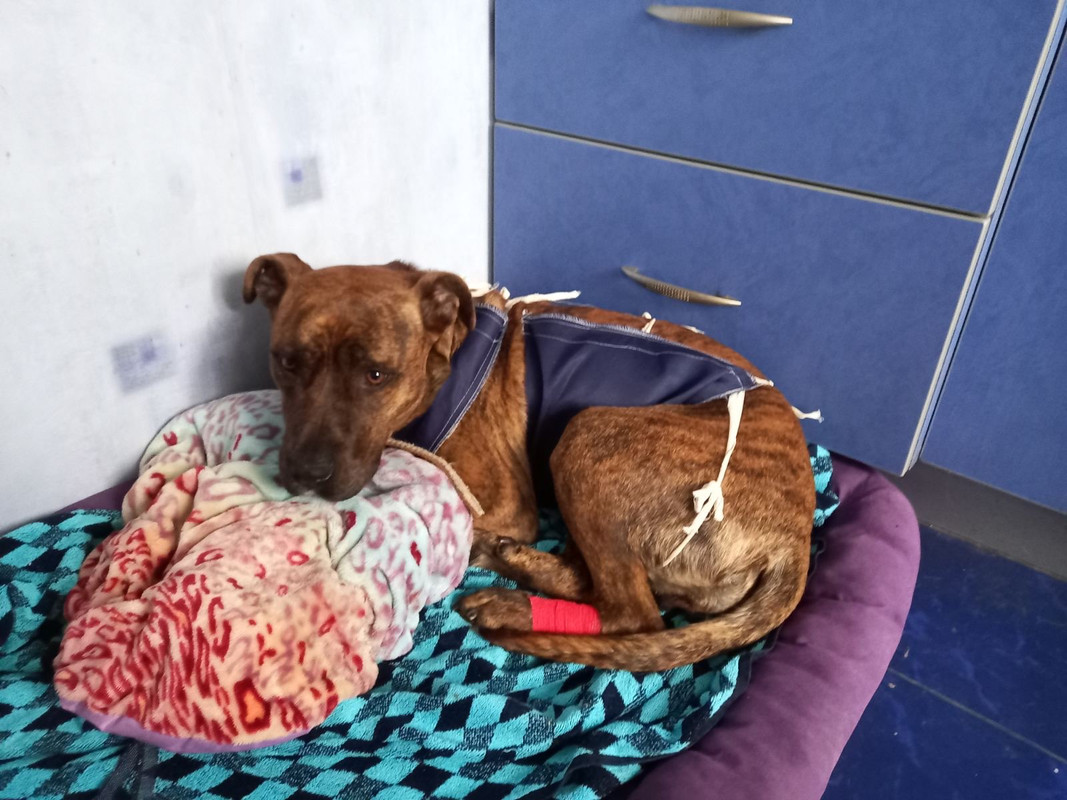 BF406485-4890-4B0E-BB94-A18337056EE5