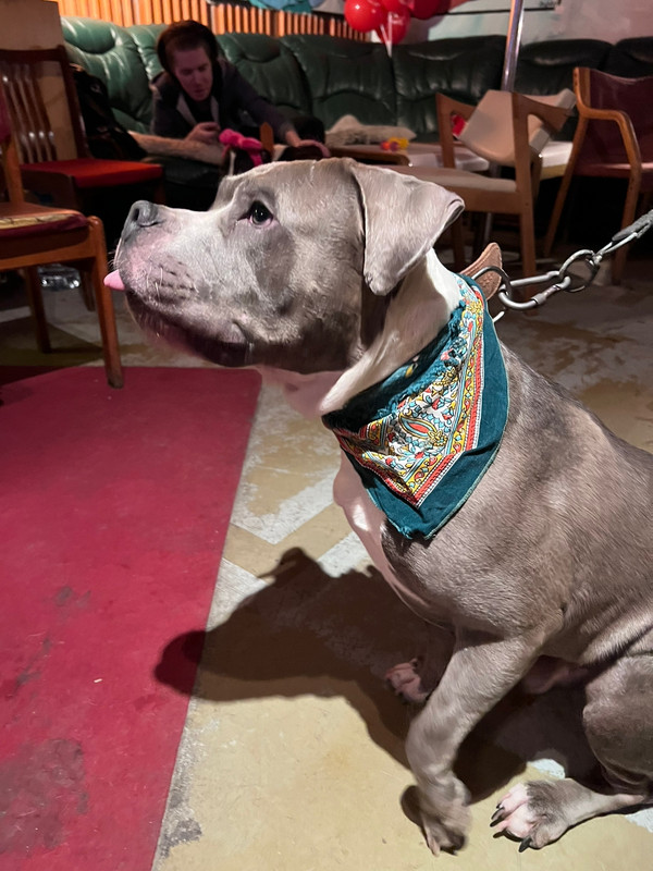 B155D1CE-679C-427B-B644-16B3F99D3FD3