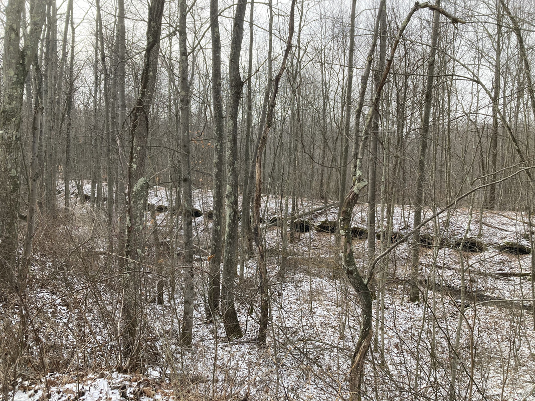 2024-01-15 Coke Oven Road Fairfied Township (coke ovens) 1