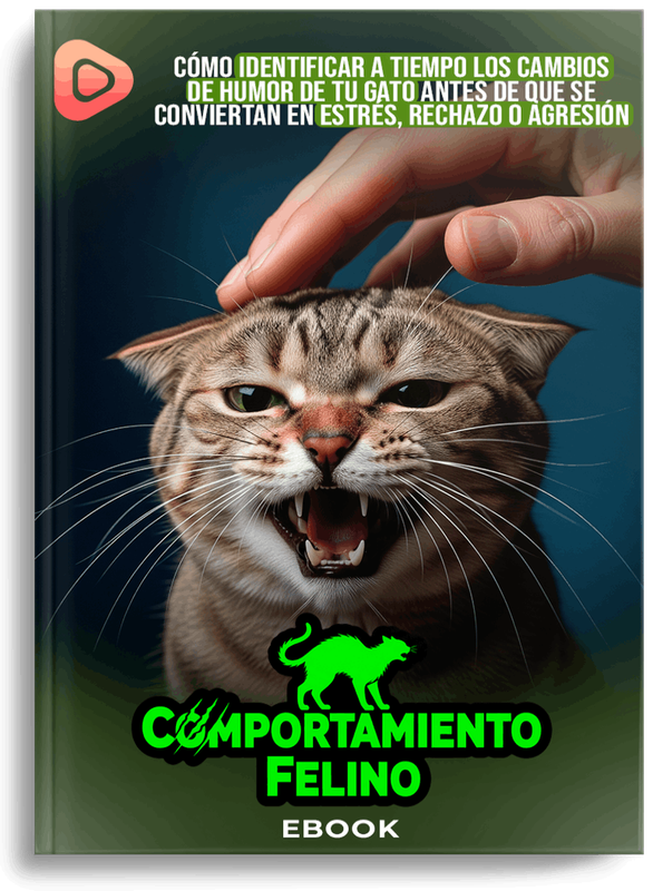 Acompañamiento felino consciente