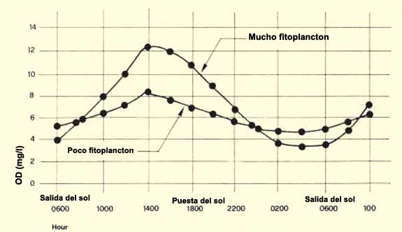 Medición en Línea de Oxígeno Disuelto en Piscicultura | HANNA Instruments  Colombia