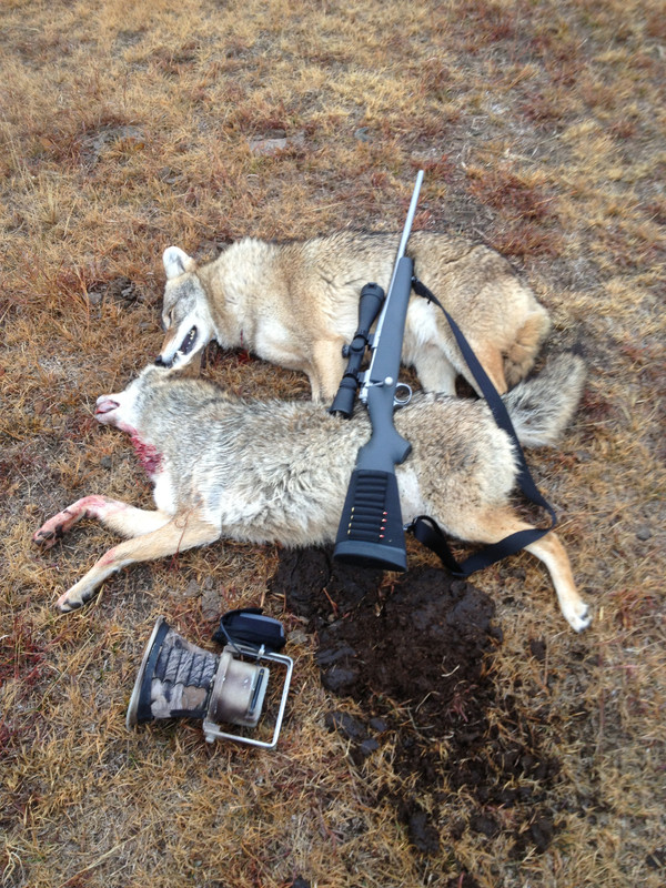 8B9E37BA-1438-4AC0-8E18-B80AD4711B57