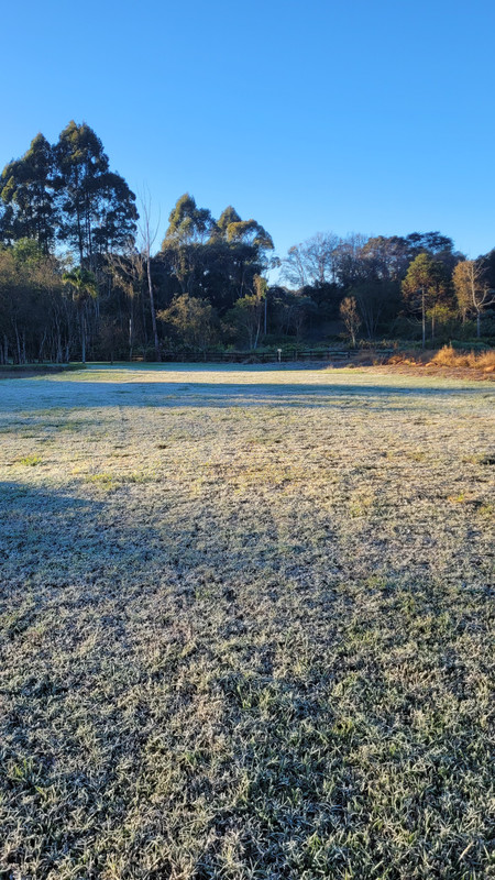 20240813-074533.jpg