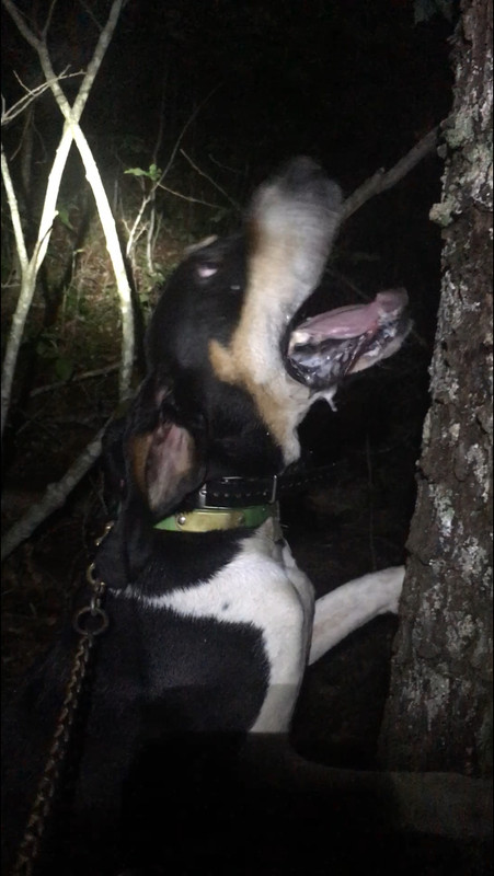 52CA70F6-F4A3-4F1D-8464-9CC3BBD6070D