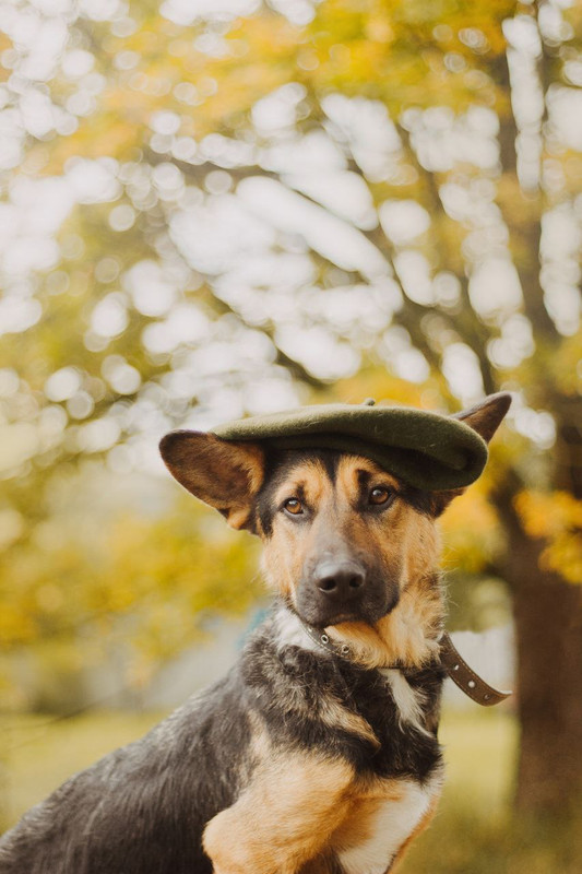 photo_2023-03-17_18-07-34 (3)