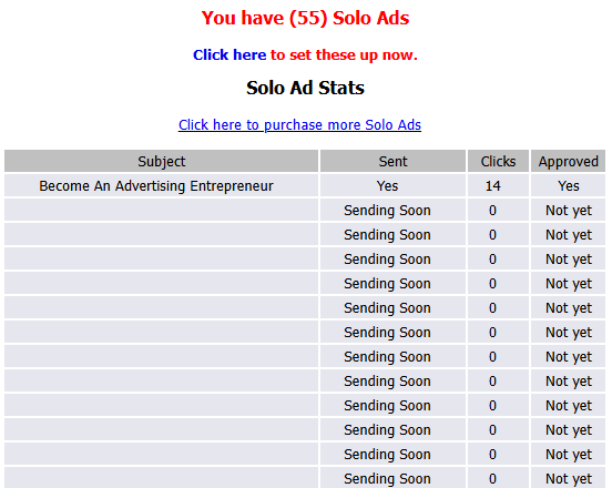 Solo Ad Submission Panel Section