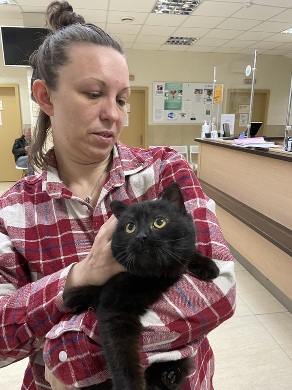 82A3E69B-547C-4D03-A44B-50EED240D58E