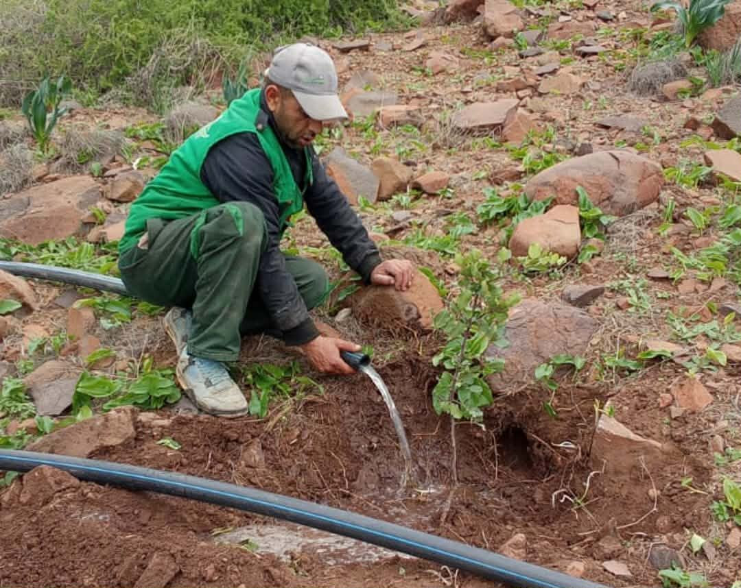 616842551-2055817048548135-5354261946460573233-n