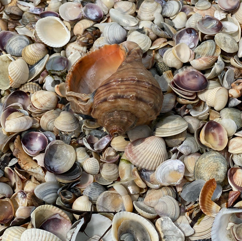 5E601A83-E2BF-421F-8F49-AB33E7D9FF92