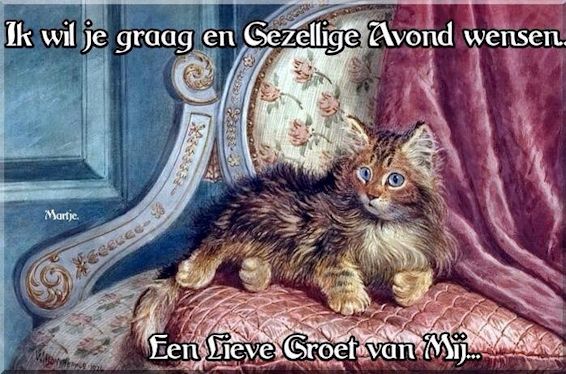 1-Poesje-met-Avondgroetjes1