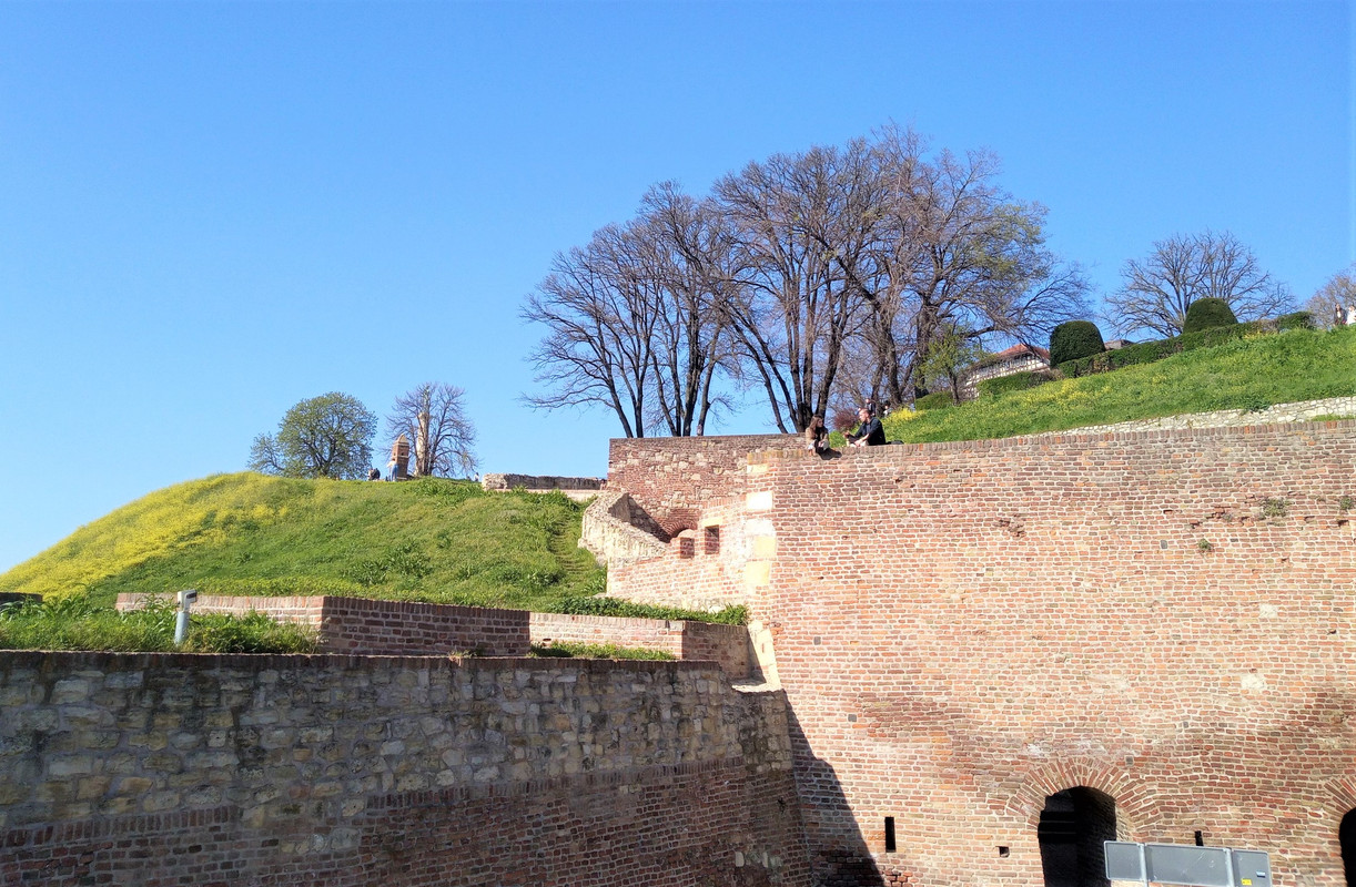 20210409_155015(1)(1)