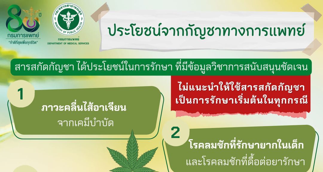 กรมการแพทย์ เผย ประโยชน์จากกัญชาทางการแพทย์