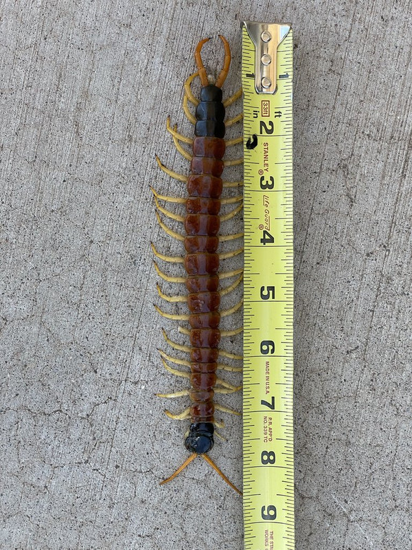 AE431ACE-095E-422B-B280-3D071799E701