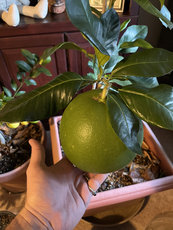 6DBEA55F-1D50-43BD-963A-BAB2834CB537