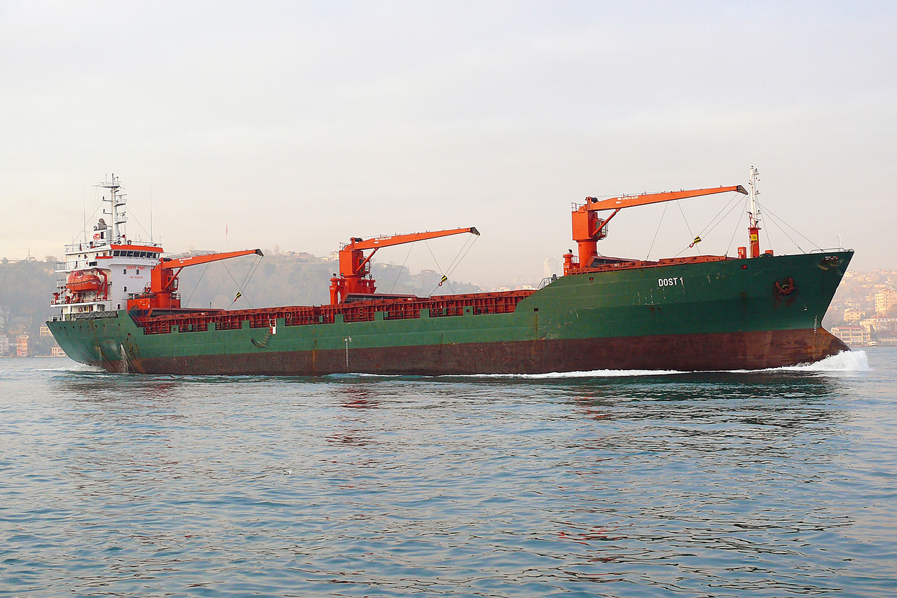 Dost 1 (OK 110108 1)