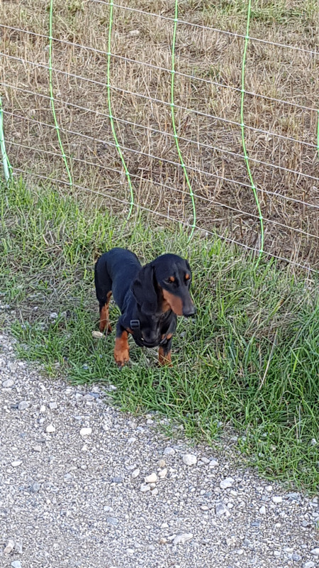 [Image: 20200930-180856.jpg]