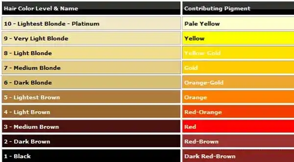 Hair Level and Hair Pigmentation