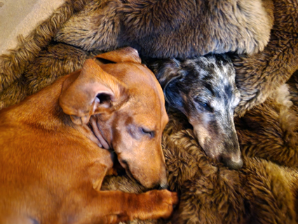 [Image: 20221227-005317.jpg]