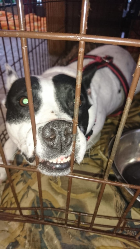 WhatsApp Image 2022-08-13 at 07.07.40 (1)