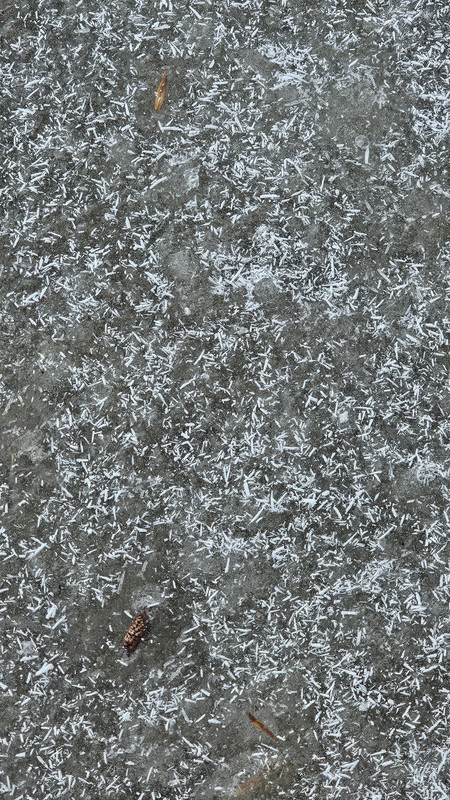 20250301-114843.jpg