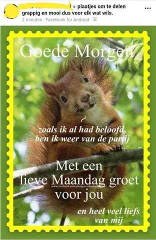 goede-morgen-met-een-lieve-maandag-groet-v0-theo81iunvx11.webp