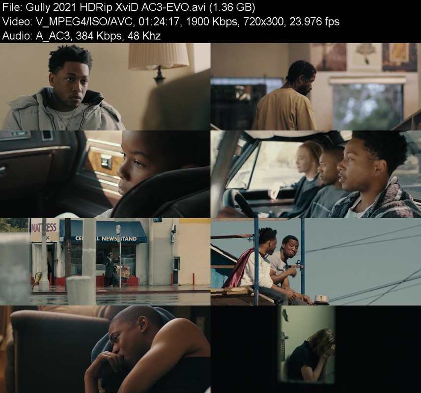 gully-2021-hdrip-xvid-ac3-evo.jpg