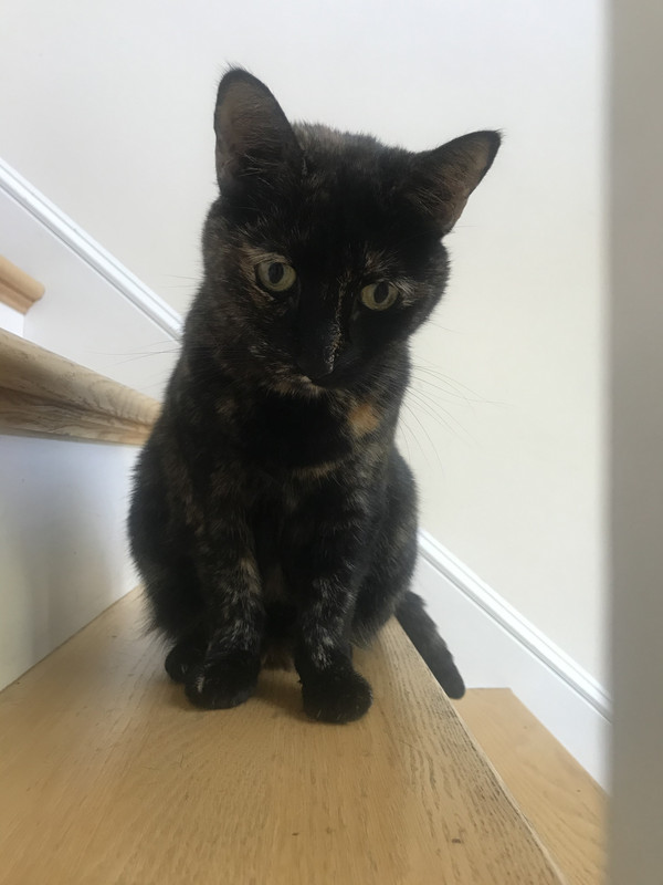 A6FD55C7-8E30-4CB8-A30D-3CA0448D4E4B