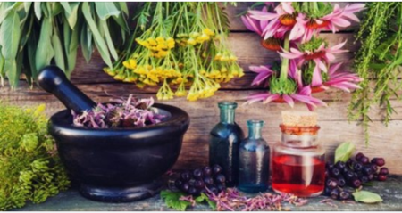 Introduction to Herbalism