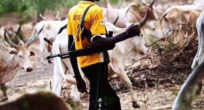 herdsman-carrying-AK-47