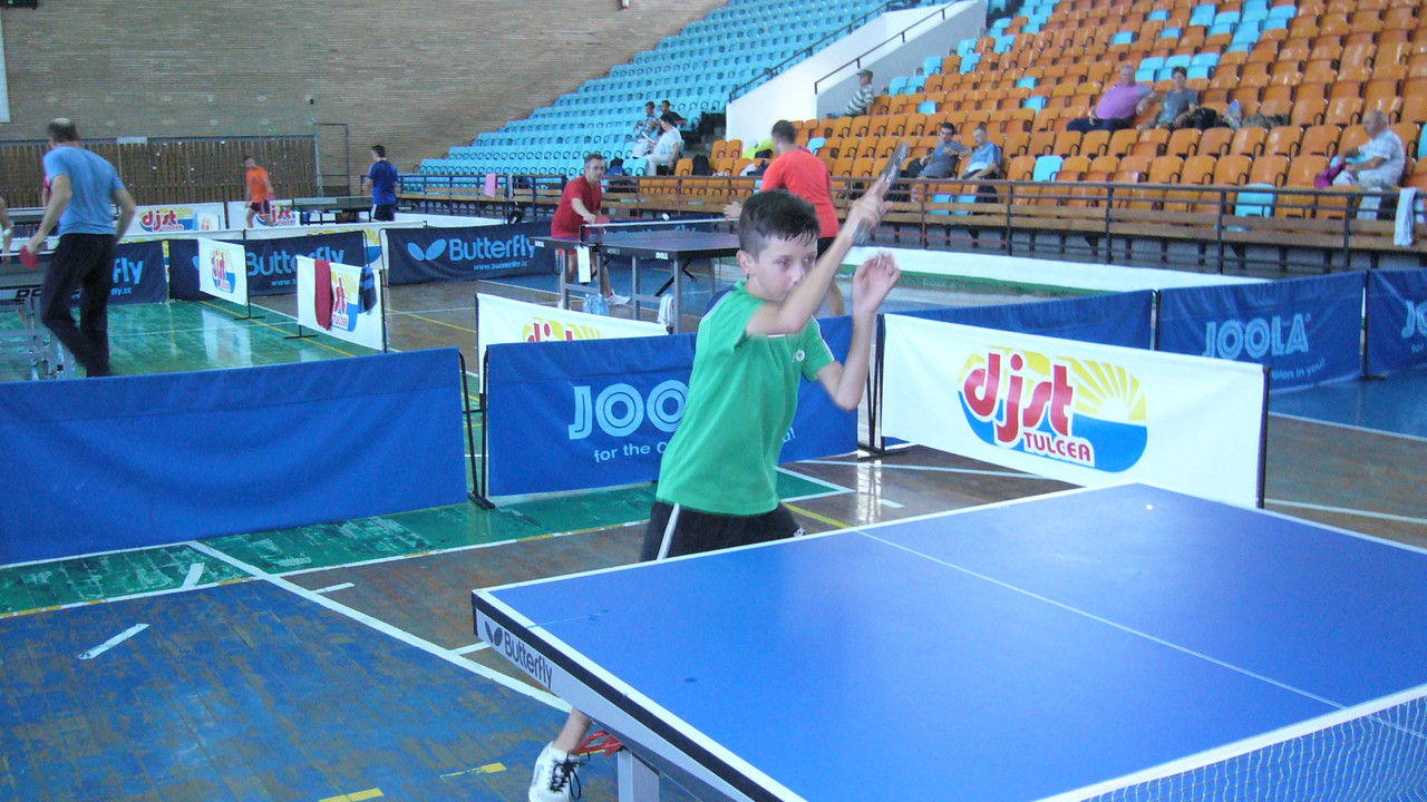 TURNEA A DELTA DUNARII 2017 (17)