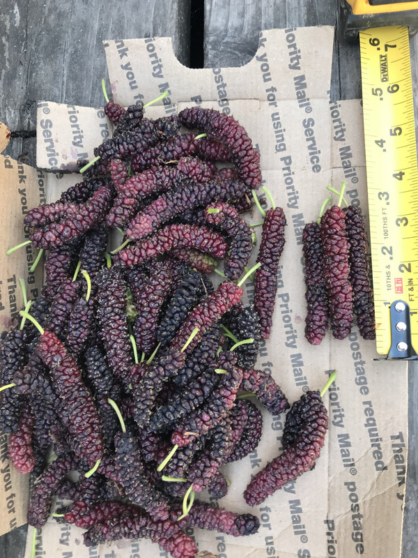 7CDA4FBF-B286-40D0-972F-788AB5250F99