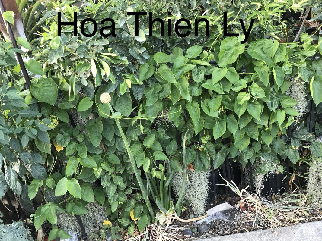 1166ECD2-9D24-456B-97CE-297629351BCB