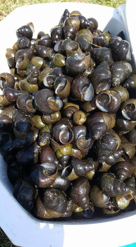 [Image: FB-IMG-1557280347806.jpg]